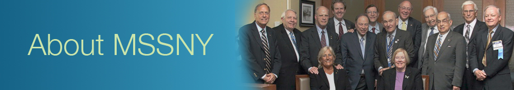 about mssny